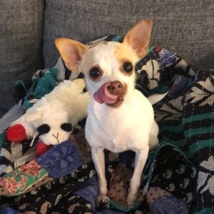 Meet your Posher, Hannah